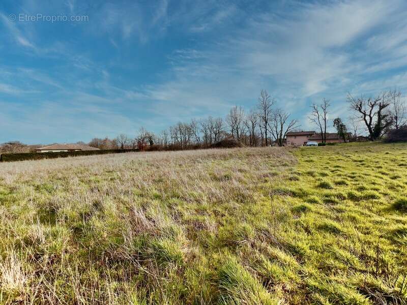 Terrain à MIRANDE