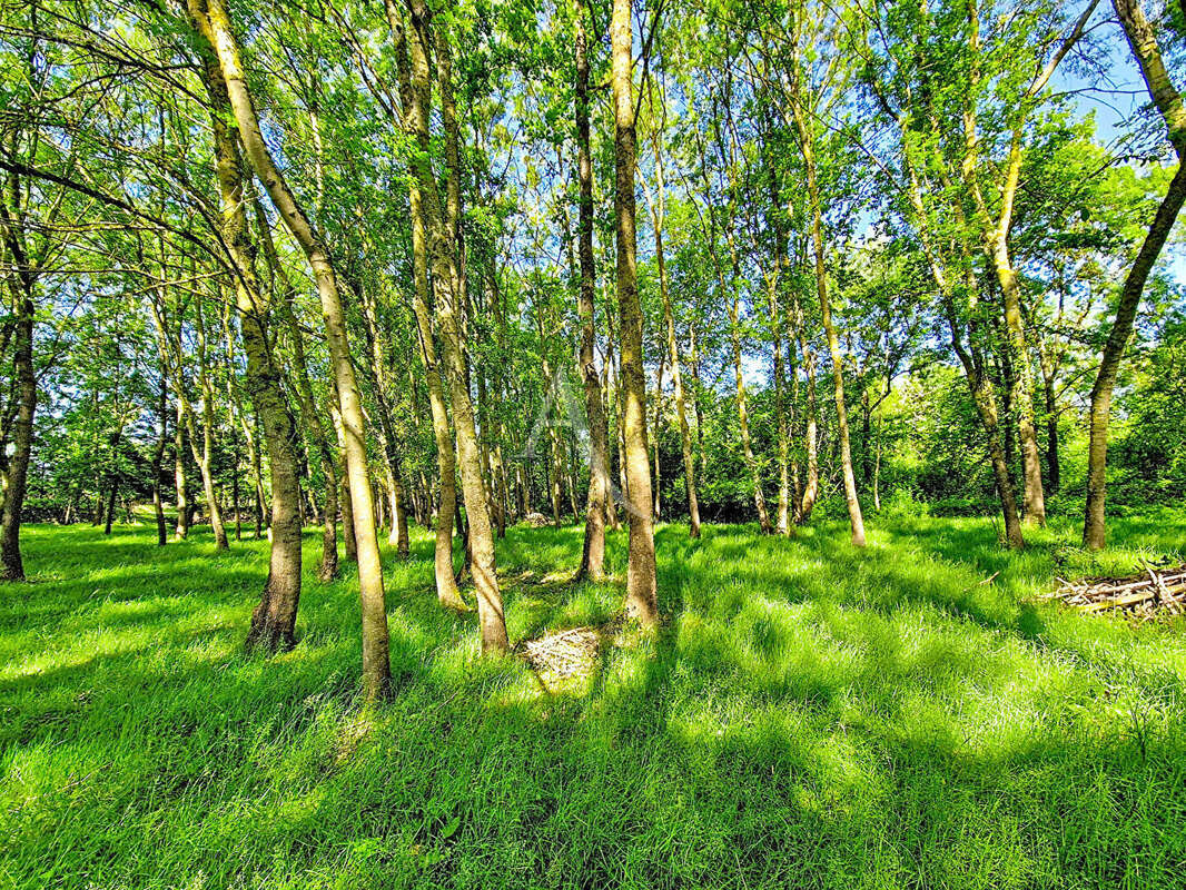 Terrain à CHAVAGNES