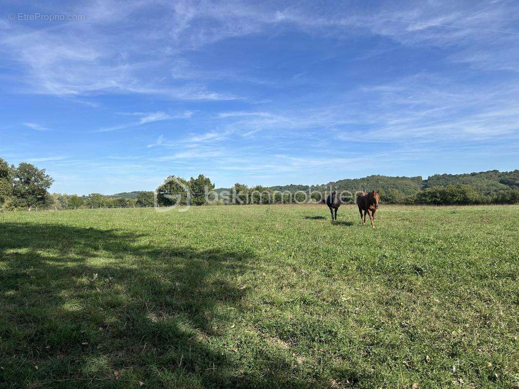 Propriete equestre de 14 hectares - photo 20