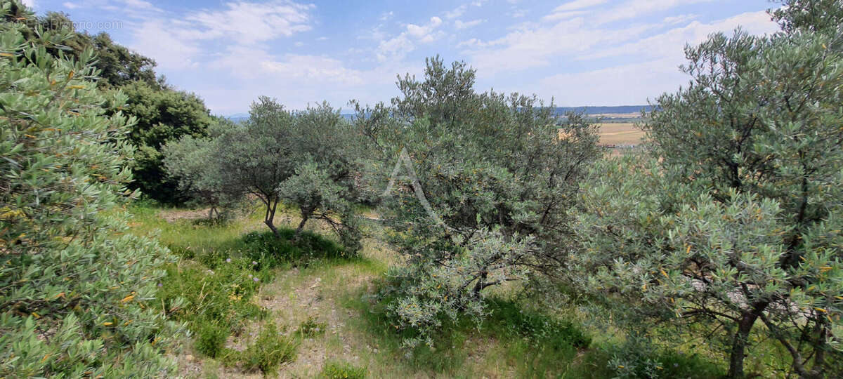 Villa lumineuse sur les hauteurs de Corbieres En Provence - photo 7