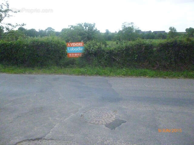 Terrain à MESNIL-CLINCHAMPS