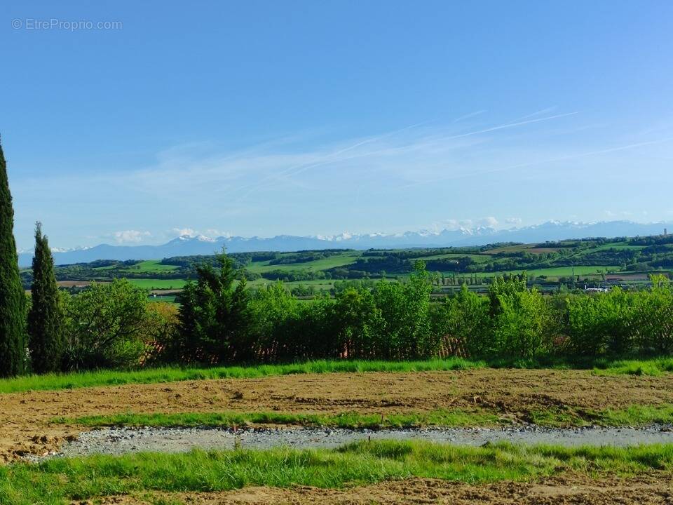 Terrain à MONTFERRAND