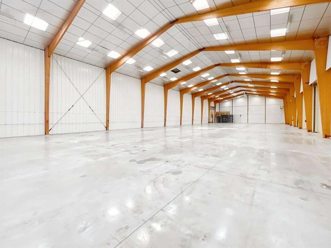 Local d'activité - Le Neubourg / Elbeuf - 1540m² - photo 4
