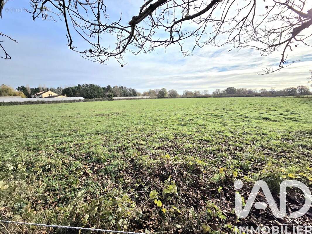 Photo 2 - Terrain à MONTMORILLON