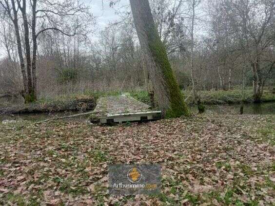 Terrain à SAINT-HILAIRE-LA-PALUD