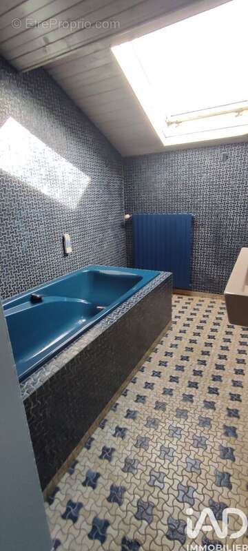 Photo 7 - Maison à SALINS-LES-BAINS