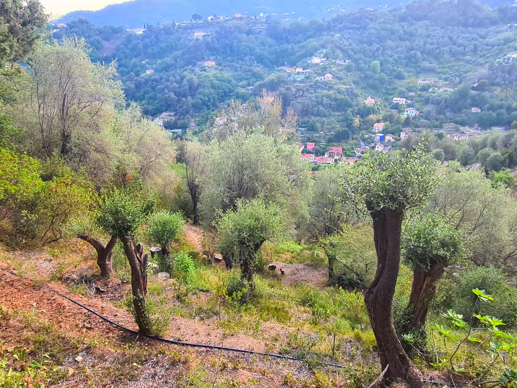 Terrain à MENTON