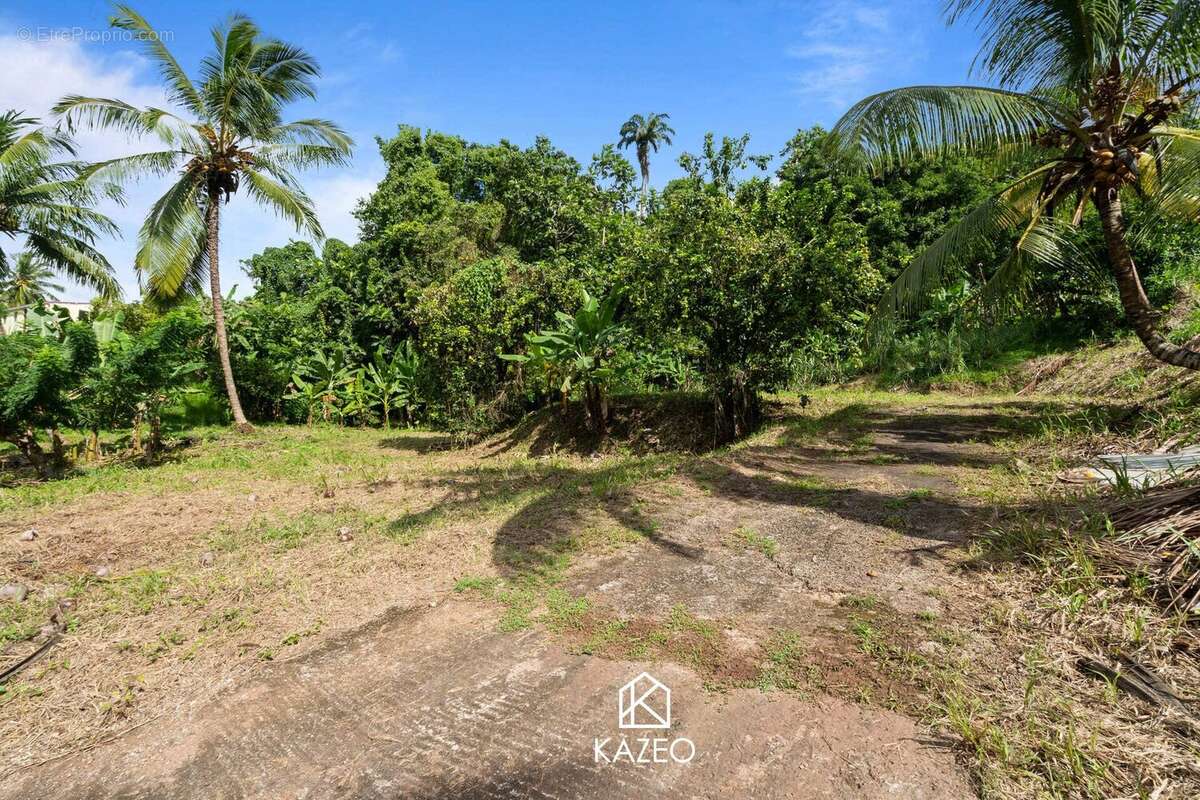 Terrain à LE LAMENTIN