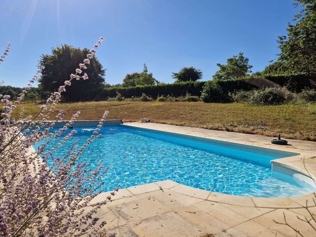 Maison de plain pied, piscine et terrain de 2771m2 - photo 2