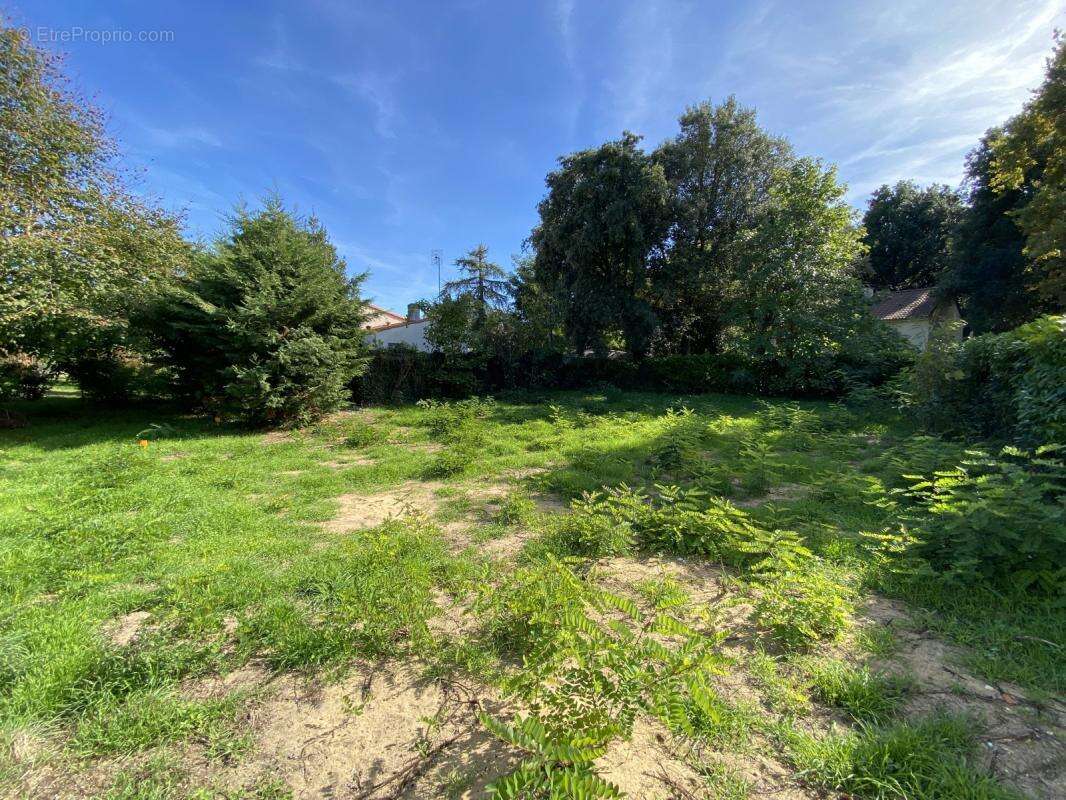 Terrain à LONGEVILLE-SUR-MER