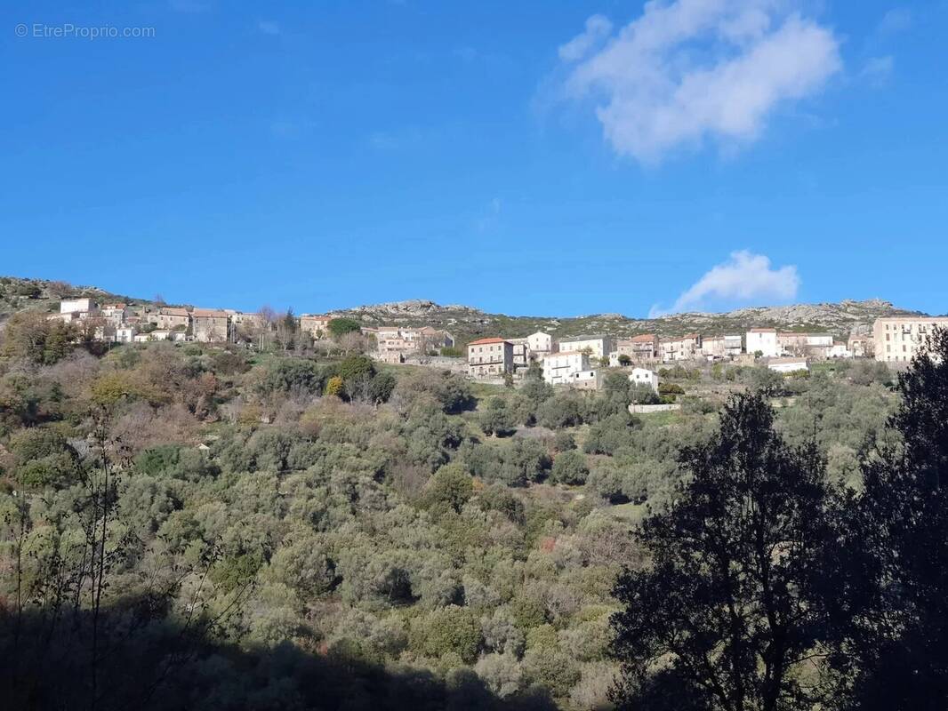 Propriété de charme Santo-Pietro-di-Tenda près Saint-Florent - photo 4