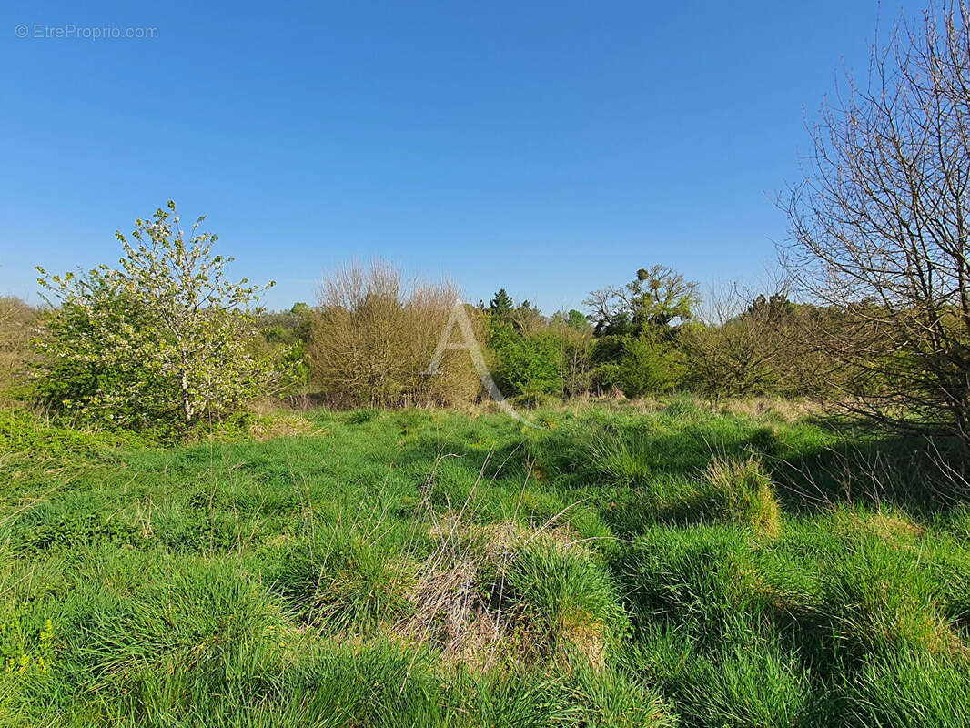Maison à VILLENTROIS