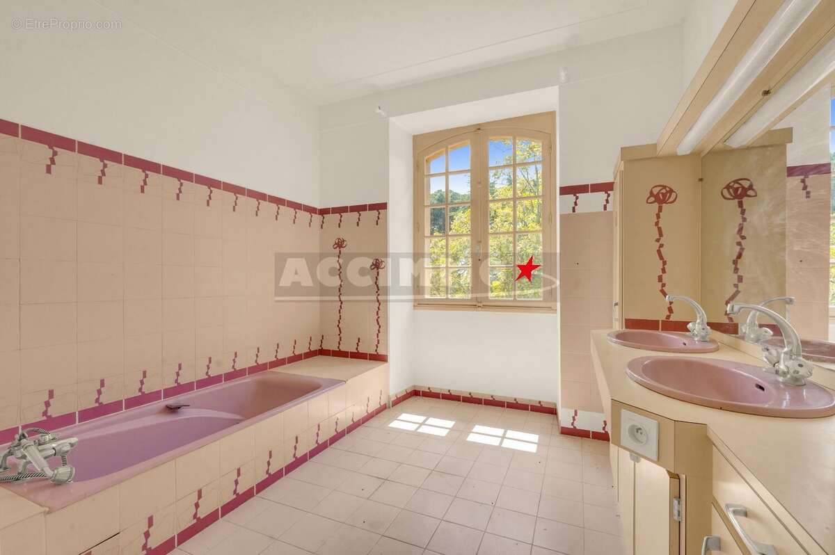 Verfeil secteur - ferme authentique - photo 10