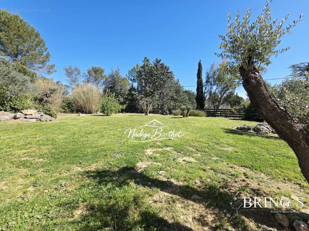 Jardin - Maison à SAINT-MAXIMIN-LA-SAINTE-BAUME