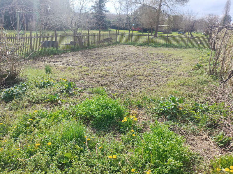 Maison à vendre 3 pièces MOSNAC (17) - photo 13