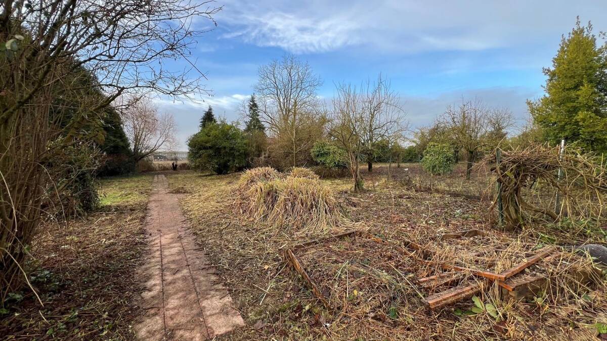 Terrain à LA CHAPELLE-D&#039;ARMENTIERES