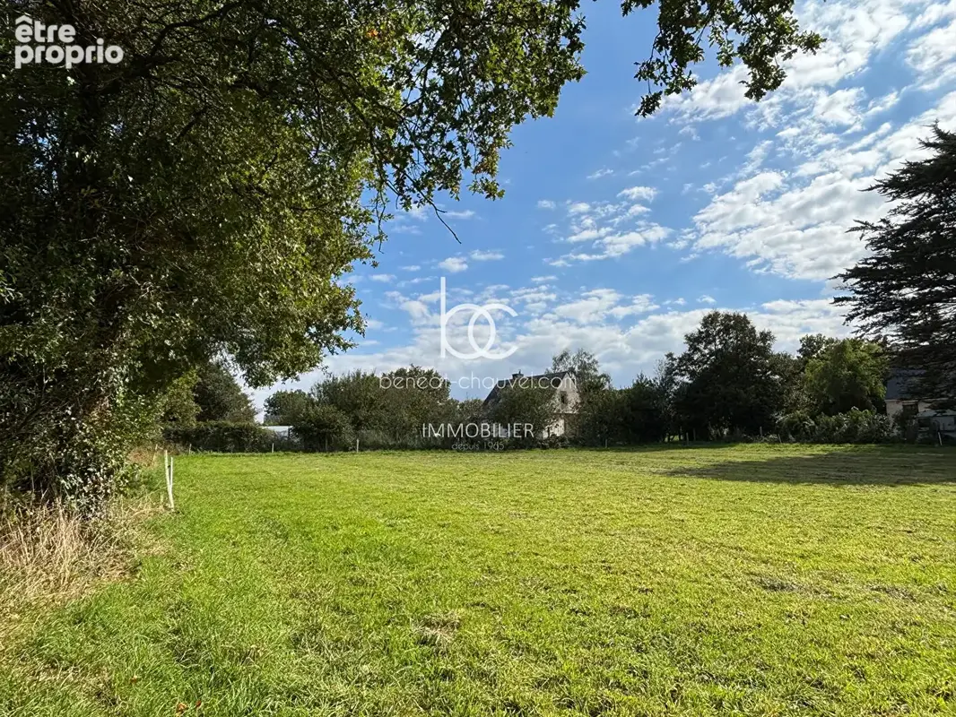 Berric - Terrain 1,5 hectare de Nature, Source et Ruisseau - photo 12