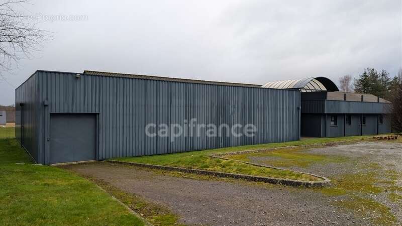 À vendre – Local d’activité/entrepôt 1460m2- Terrain 5738m2 - Proche RN12 - photo 3