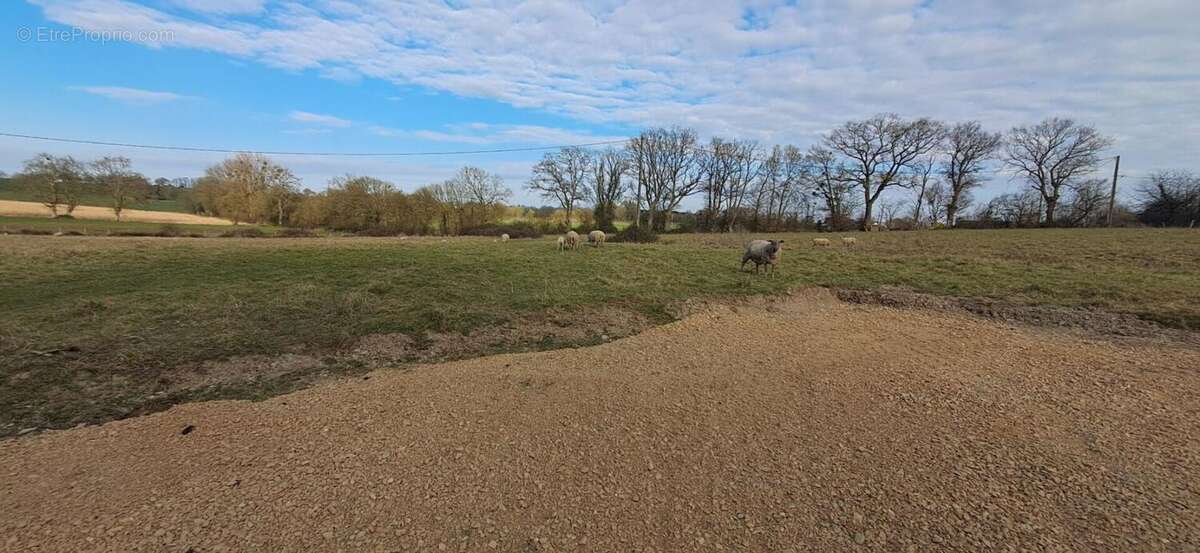 Maison à BONCHAMP-LES-LAVAL