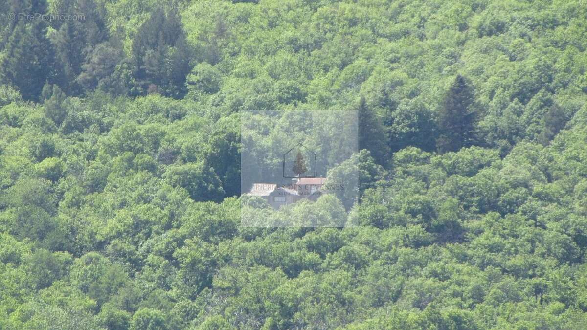 Maison à LE COLLET-DE-DEZE