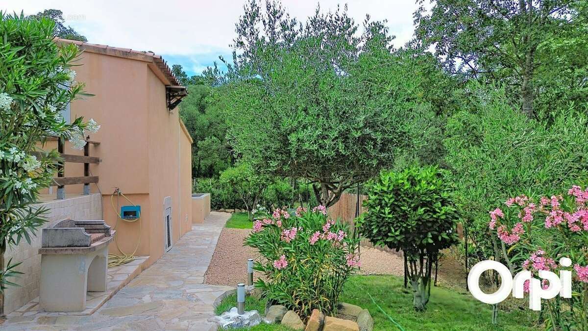Maison à PORTO-VECCHIO