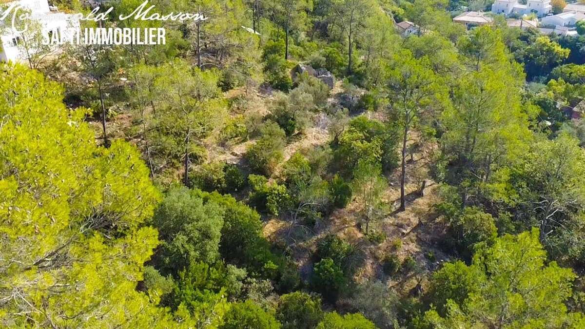 Photo 8 - Terrain à BELGENTIER