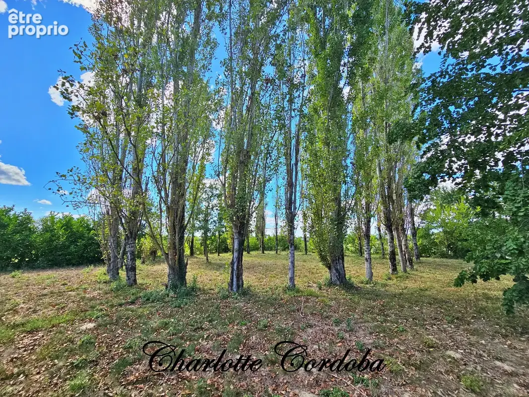 Magnifique longère en pierre, dépendances et plus de 2.7Ha de terrain – charme et potentiel SERIGNAC SUR GARONNE - photo 29
