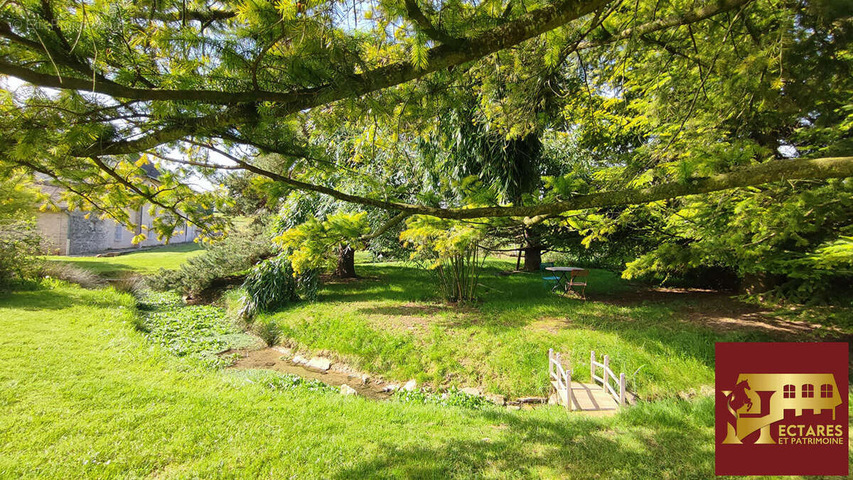 Propriété avec gîte et 3,6 ha - photo 11