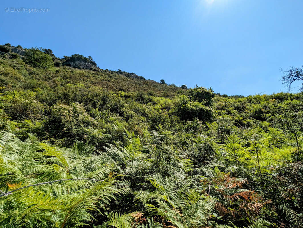 Terrain de 68490 m2 NON CONSTRUCTIBLE, Vence 06140 - photo 2