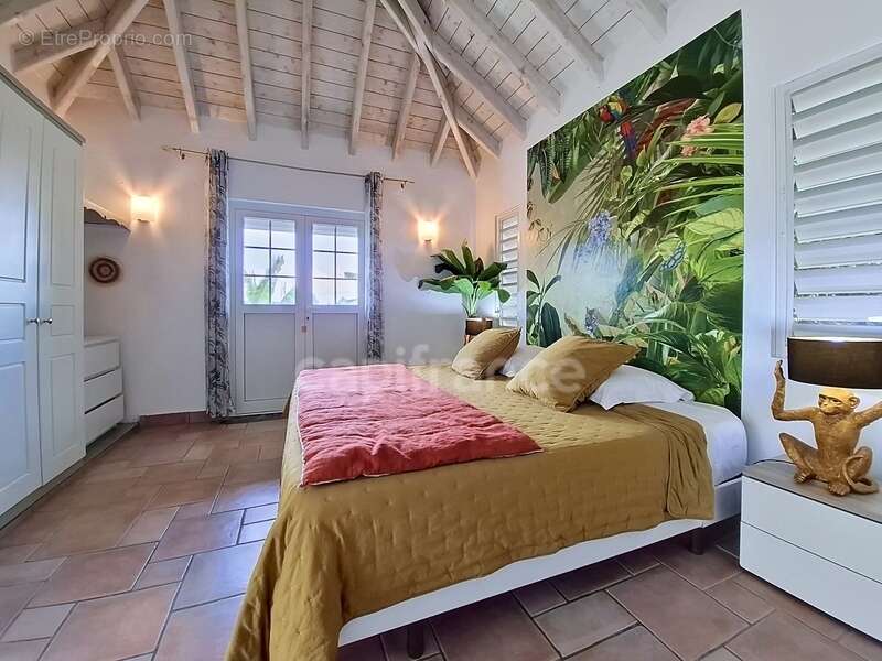 Maison à SAINT-MARTIN