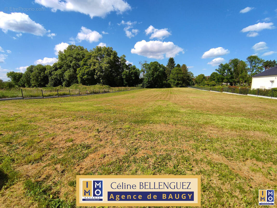 Terrain à BAUGY