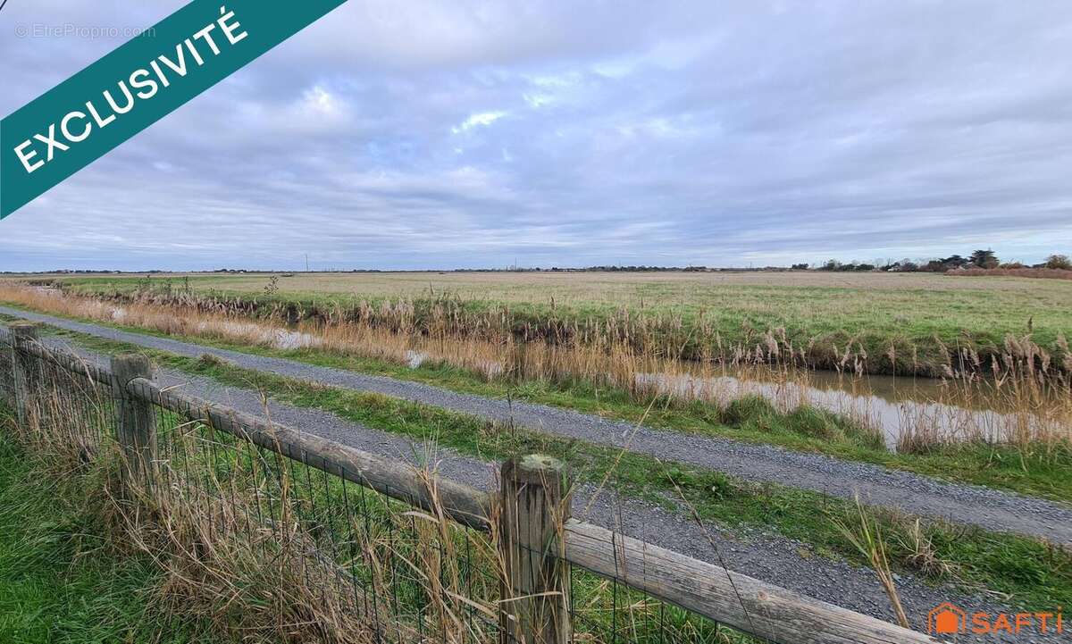 Photo 6 - Maison à LA BARRE-DE-MONTS