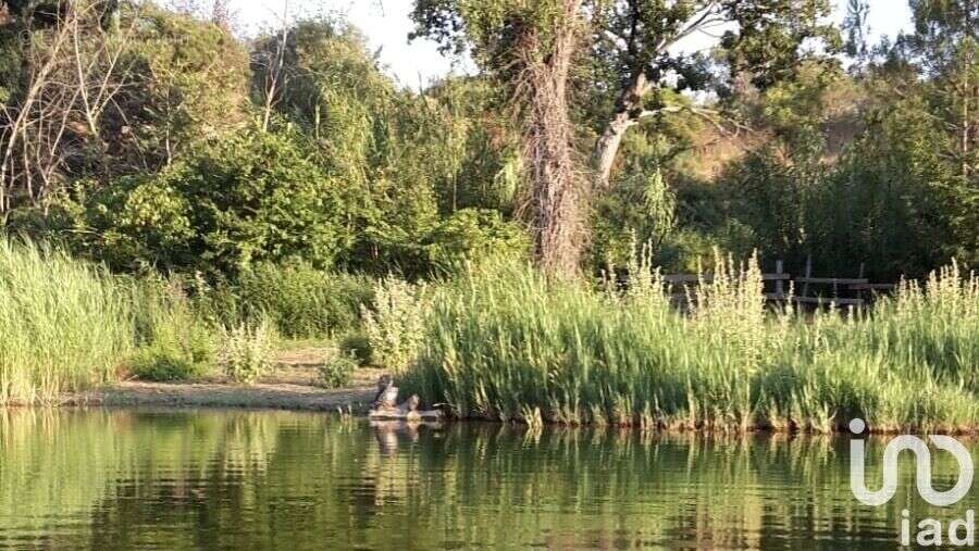 Photo 2 - Maison à LE MUY