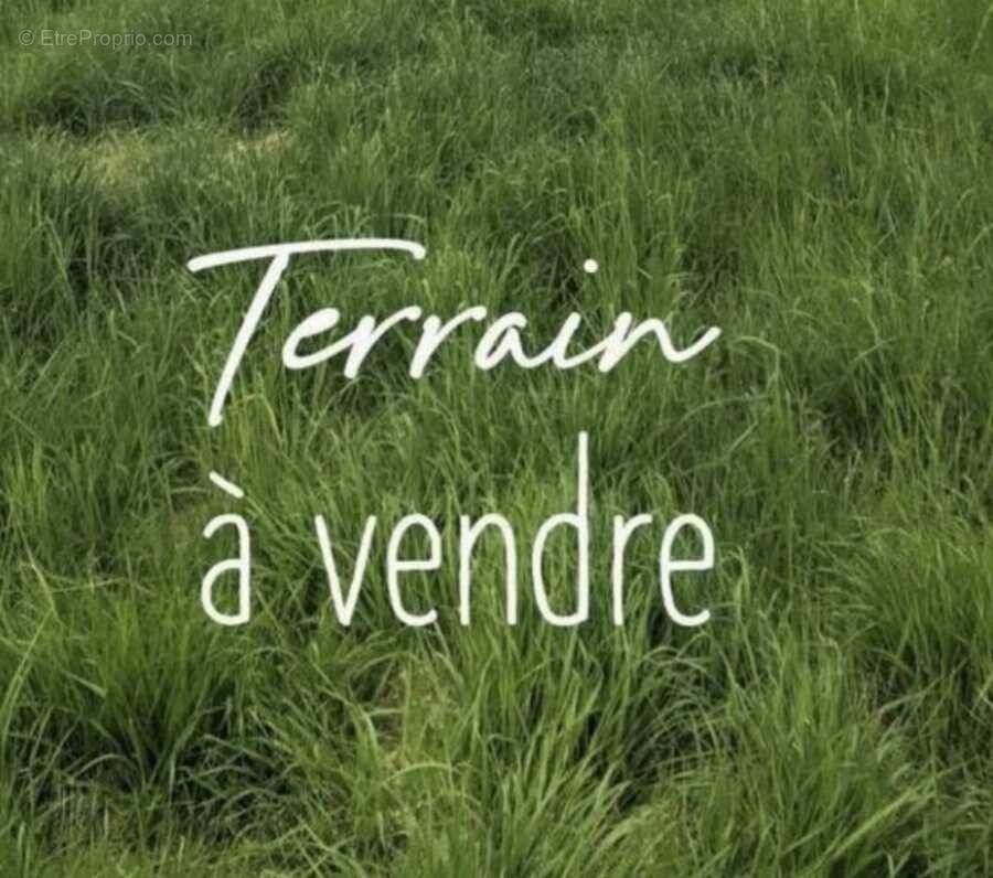 Terrain à OSSUN