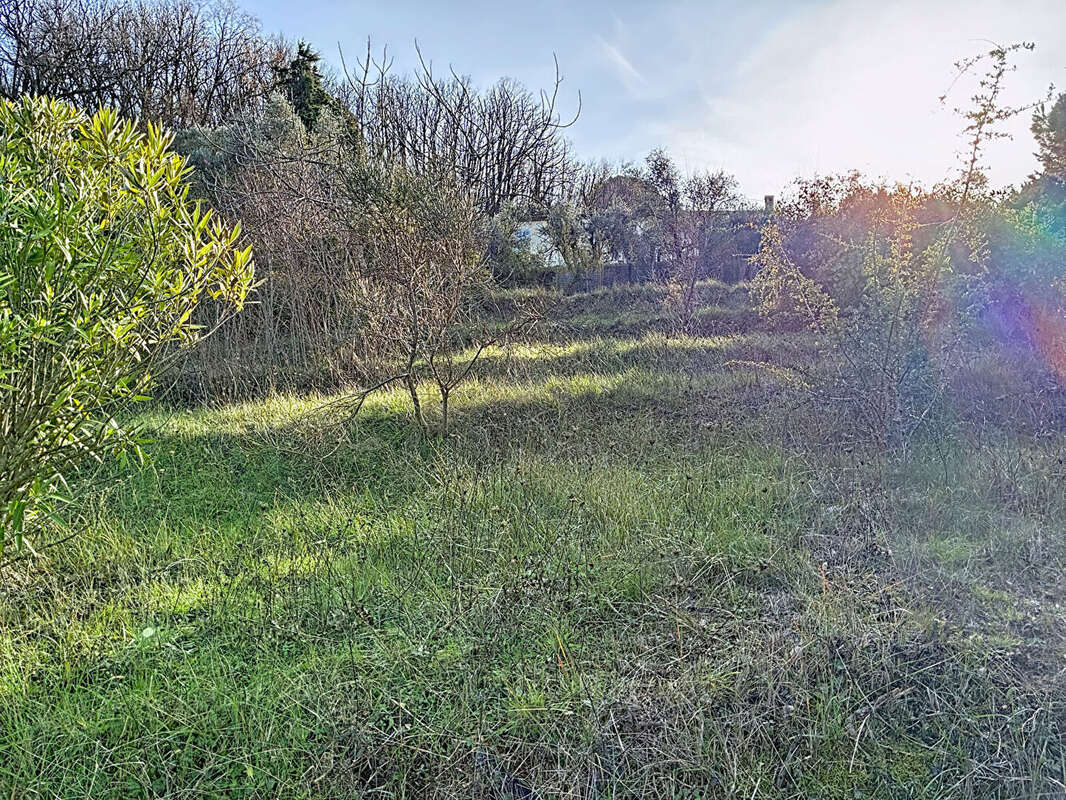 Terrain à CHATEAUNEUF-GRASSE