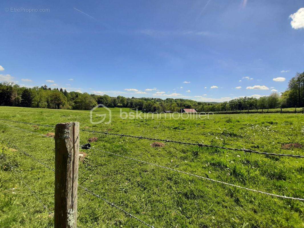 Terrain à CHAILLAC-SUR-VIENNE