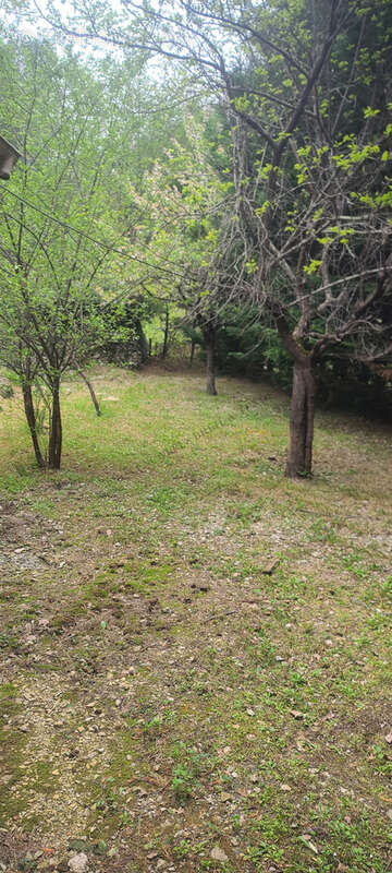 Maison à BREIL-SUR-ROYA