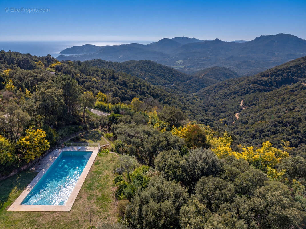 Maison à MANDELIEU-LA-NAPOULE