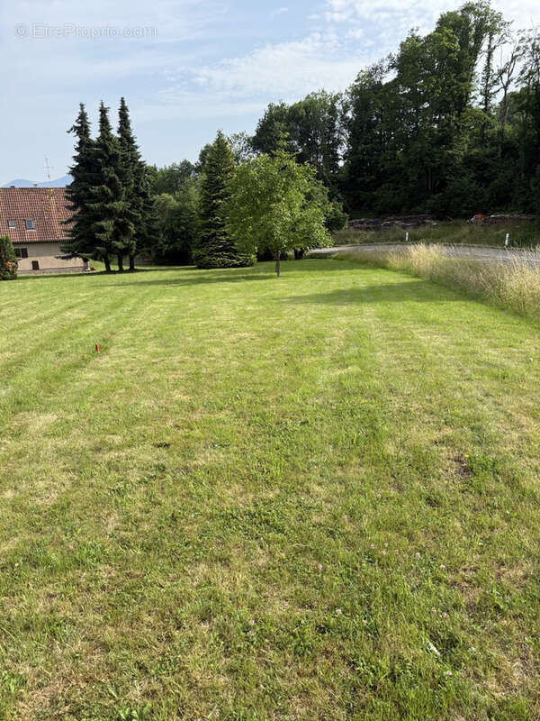 Terrain à BREITENBACH