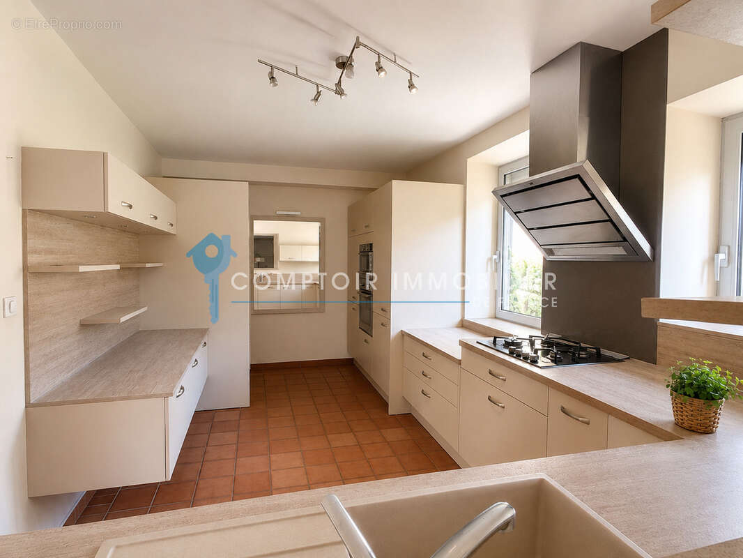 Meyras   Maison individuelle avec 3 800 m2 de terrain attenant, bois et vue dégagée - photo 5