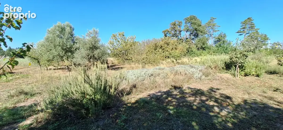 Sorgues - MAS 7 pièces 274 m² + ANNEXES 500 m²  sur 4082 m² de terrain - photo 2