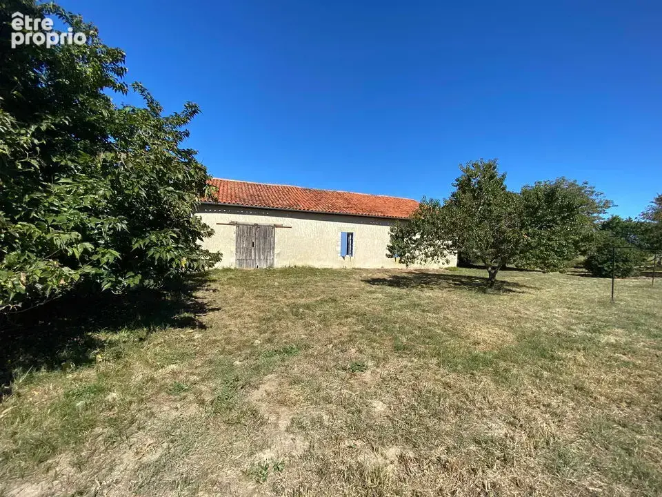 Ferme landaise en pierres 116m² - Dépendance + chai - Terrain - photo 21