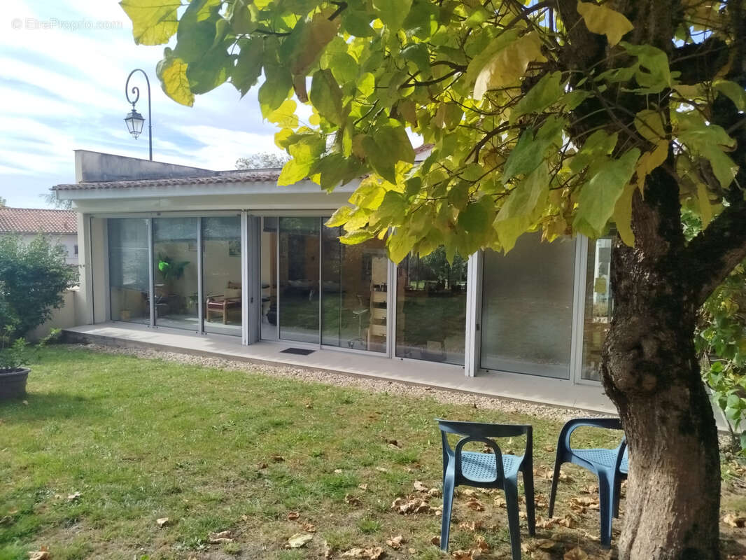 Commerce à PELLEGRUE