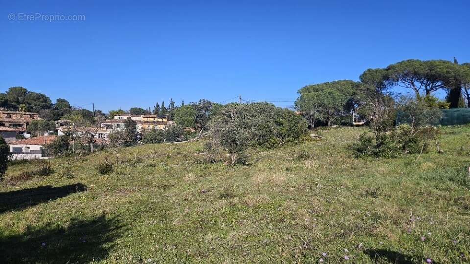 Terrain à ROQUEBRUNE-SUR-ARGENS