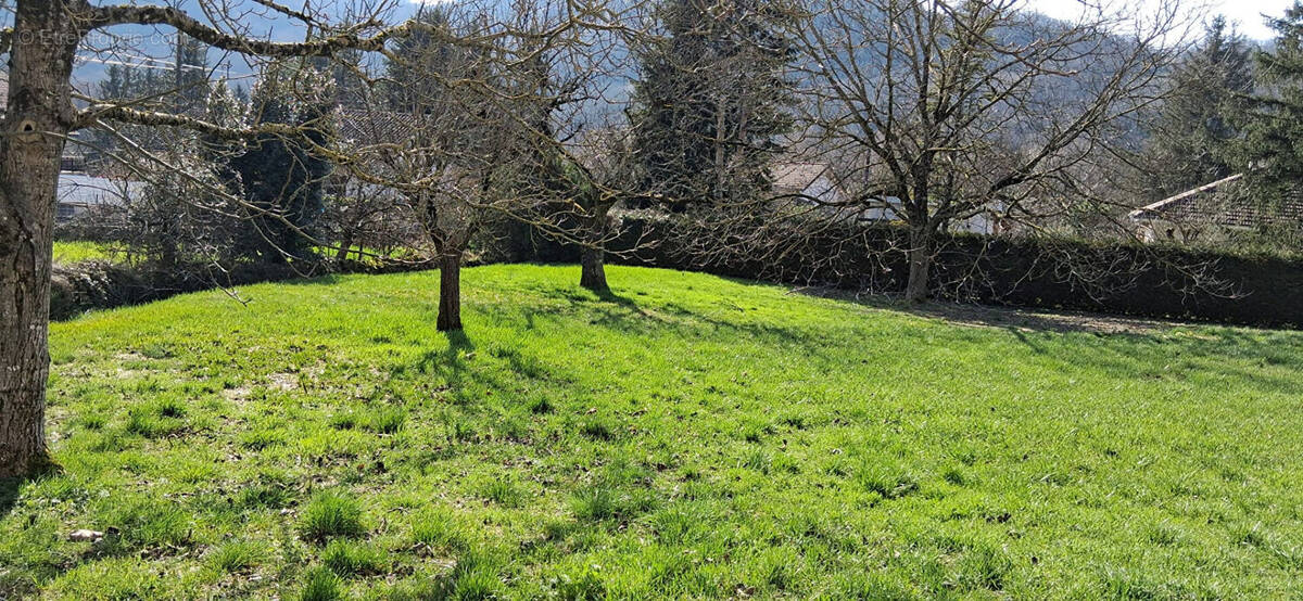 Terrain à AMBERIEU-EN-BUGEY