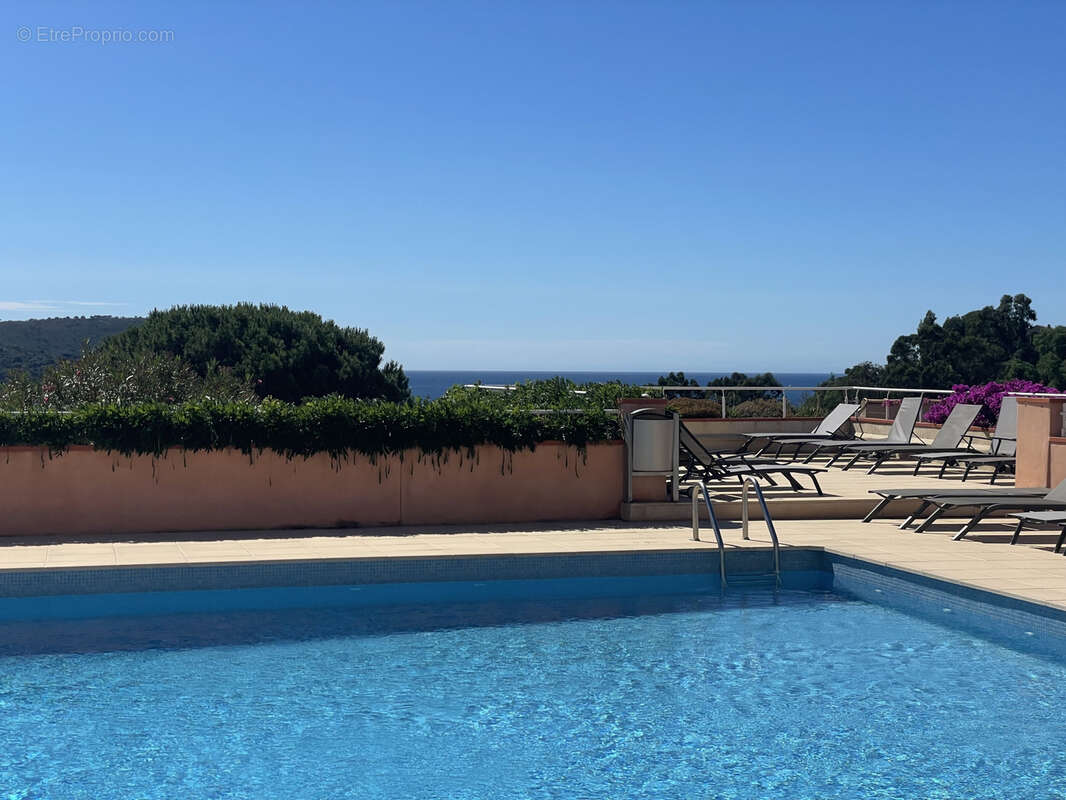Appartement vue mer et proche mer - photo 9