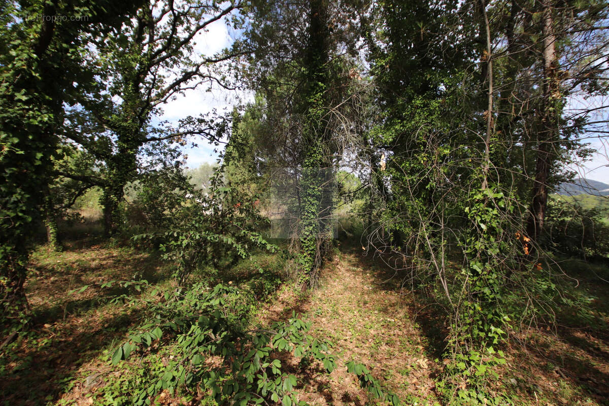 Superbe terrain - 1318m2 - Saint-Paul de Vence - photo 3