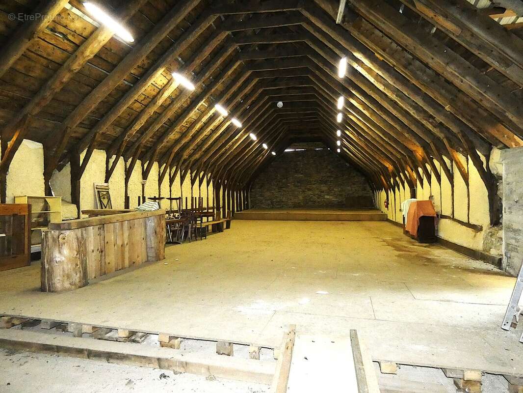 (1460 m²) Ancienne ferme avec vue sur le Mont Gerbier de Jonc  - photo 18