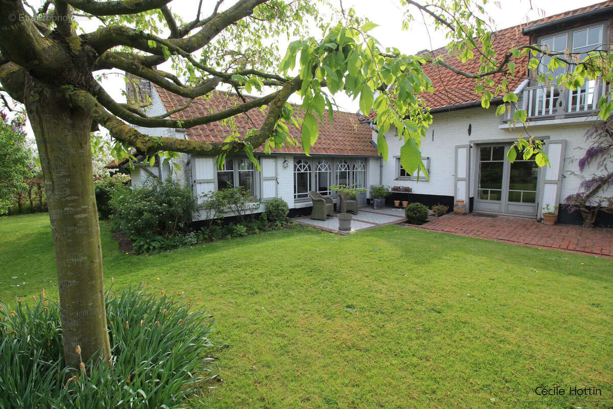Maison à TOURMIGNIES