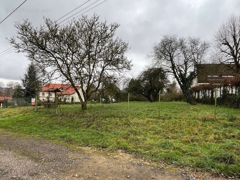 Terrain à LES ETANGS